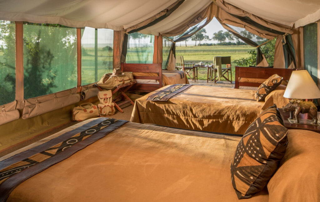 Luxury Safari